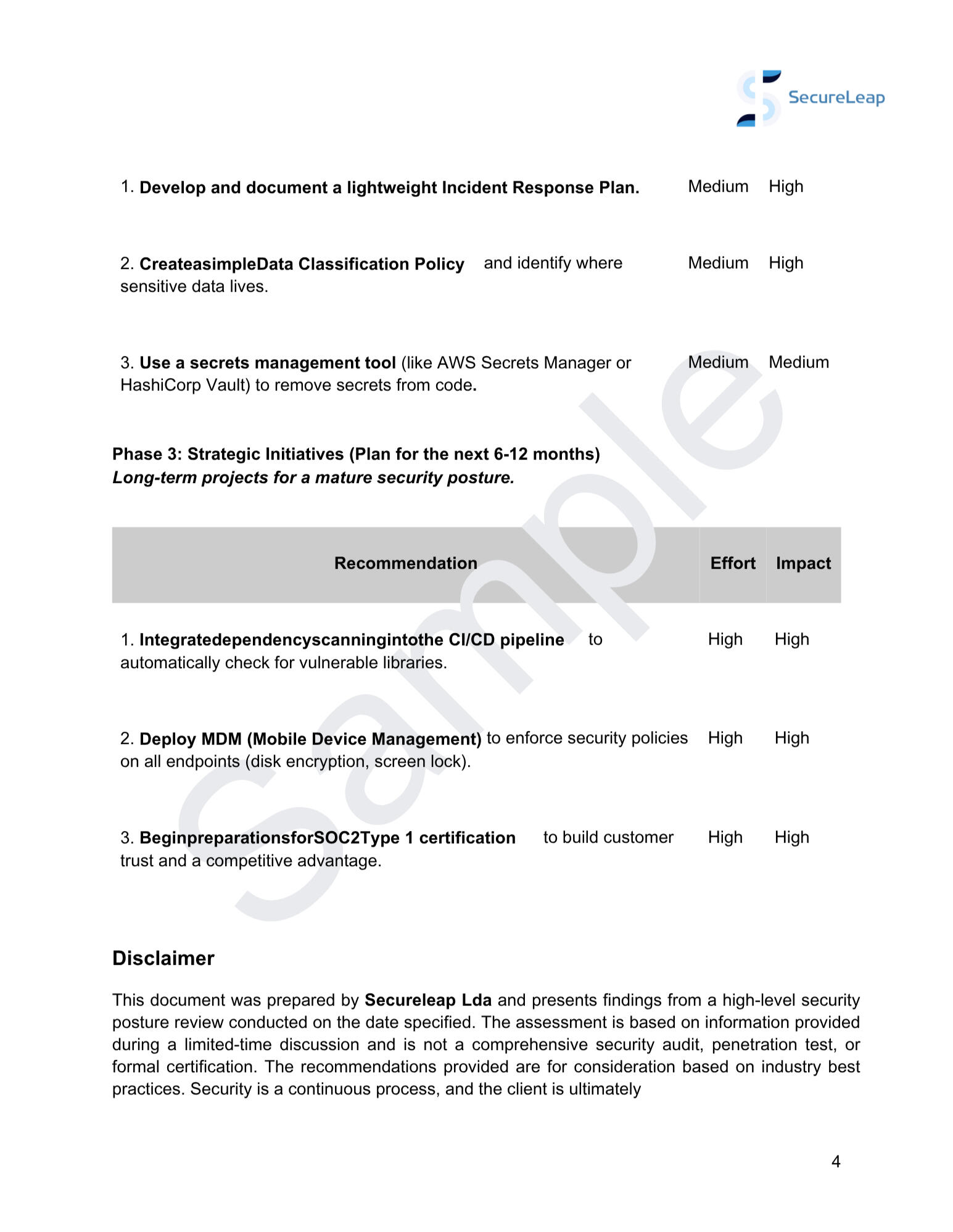 Secureleap Report Example